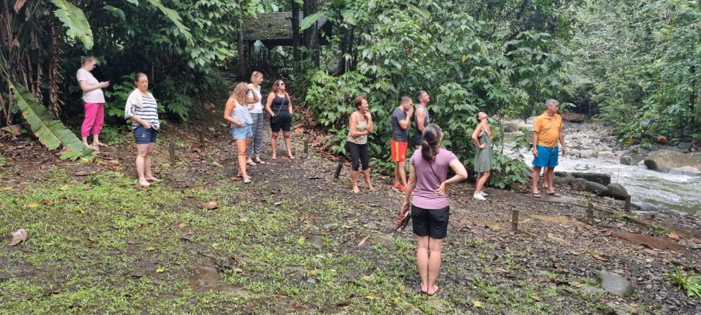 Sademetsässä kymmenkunta opettajaa tarkkailevat luontoa.